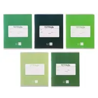 Тетрадь 12 листов в клетку Calligrata "Однотонная Новая Школьная", обложка мелованная бумага, ВД-лак, блок офсет, белизна 95%, МИКС