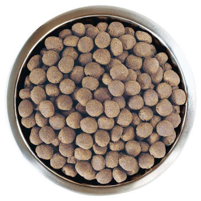 Сухой корм PRO PLAN для собак крупных пород, мощное тело, лосось, 14 кг Сухой корм PRO PLAN для собак крупных пород, мощное тело, лосось, 14 кг