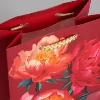 Пакет подарочный "Яркий акцент" ламинированый 11,5 х 14,5 х 6,5 см