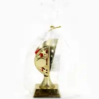 Кубок, наградная фигура &laquo;Звёзды&raquo;, с красными вставками, 15&times;7&times;5.8 см