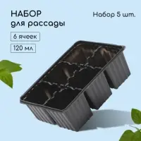 Кассета для рассады, 6 ячеек по 120 мл, пластик, чёрная, набор 5 шт.