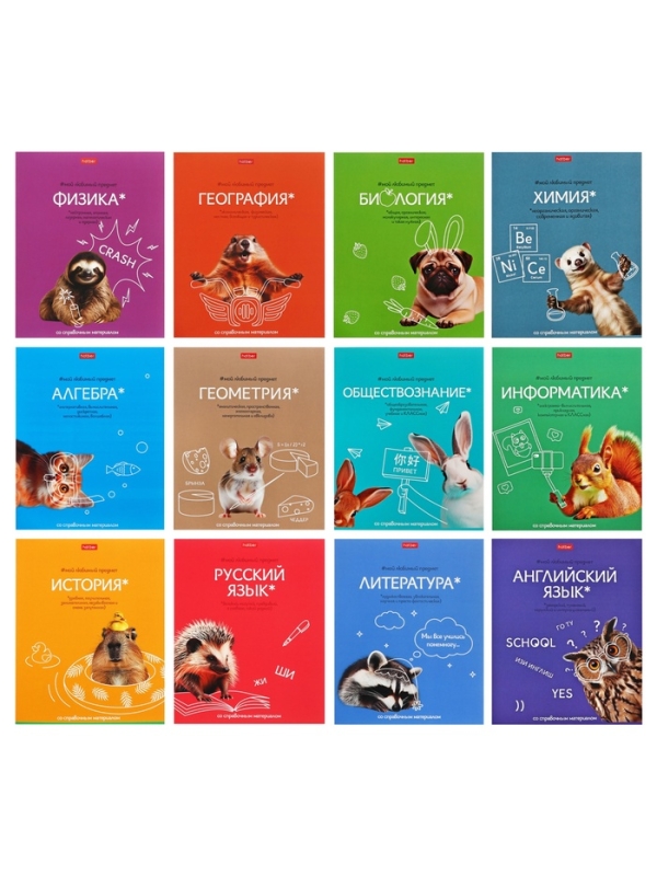 Комплект предметных тетрадей 48 листов, 12 предметов Hatber «Мой любимый предмет», обложка мелованный картон, ламинация Soft-touch, с интерактивным сп... Комплект предметных тетрадей 48 листов, 12 предметов Hatber «Мой любимый предмет», обложка мелованный картон, ламинация Soft-touch, с интерактивным сп...