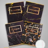 Набор предметных тетрадей Calligrata &laquo;Мрамор тёмный&raquo;, 10 предметов, 48 листов, со справочным материалом, обложка из мелованного картона