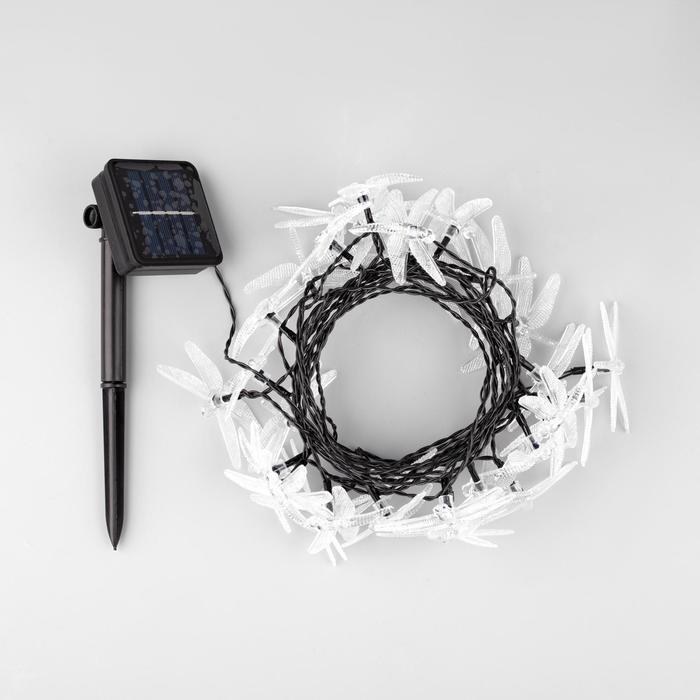 Гирлянда «Нить» 4.5 м с насадками «Стрекозы», IP44, тёмная нить, 30 LED, свечение белое, 2 режима, солнечная батарея Гирлянда «Нить» 4.5 м с насадками «Стрекозы», IP44, тёмная нить, 30 LED, свечение белое, 2 режима, солнечная батарея
