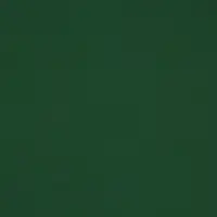 Пленка двухсторонняя для цветов и декора, 0.57&times;0.57 см, зелёный