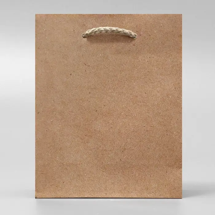 Пакет подарочный ламинированный, упаковка, «Крафт», S 12 х 15 х 5.5 см