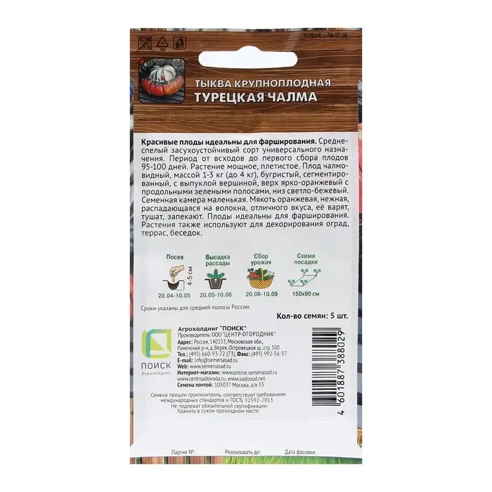 Семена Тыква крупноплодная  Семена Тыква крупноплодная "Турецкая чалма", 5 шт.