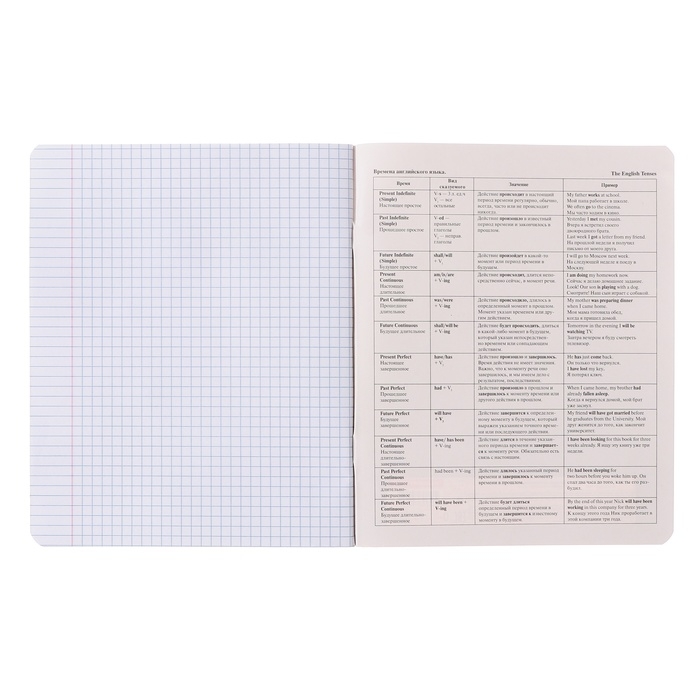 Тетрадь предметная "Пёс и Кот" 48 листов в клетку "Английский язык", обложка мелованный картон, металлизированная краска, ВД-лак, блок офсет