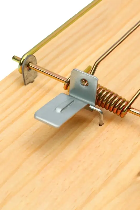 Крысоловка, 17&times;8 см, дерево, Greengo