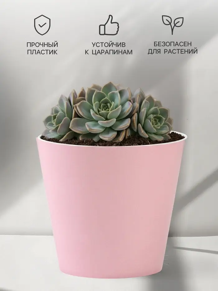 Кашпо для цветов &laquo;Цвет&raquo;, 800 мл, d=12 см, h=11 см, пластиковое