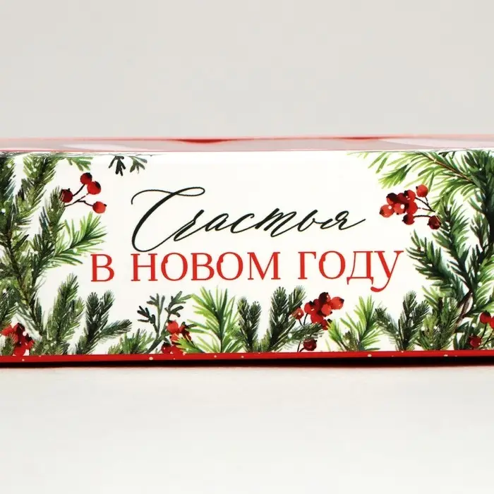 Коробка под 3 конфеты с ячейками «Счастье», 13.3 х 3.3 х 5.8 см Коробка под 3 конфеты с ячейками «Счастье», 13.3 х 3.3 х 5.8 см