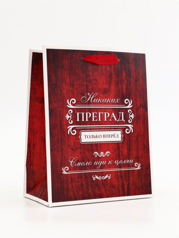 Пакет подарочный вертикальный "Только вперёд", 18 х 23 х10 см