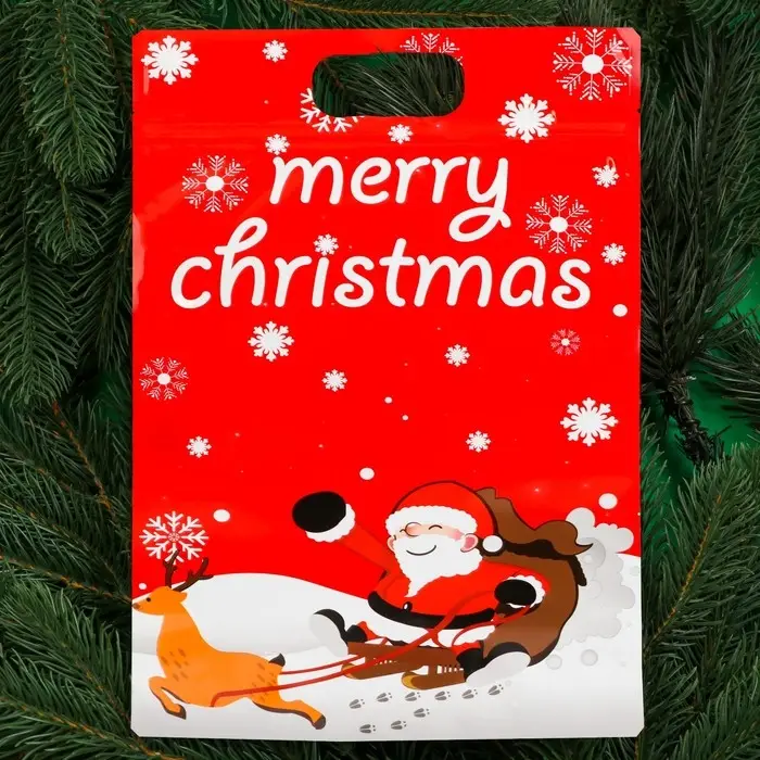 Пакет подарочный,  Пакет подарочный, "С новым годом!", с zip-lock застежкой, 20х30+4,5 см.