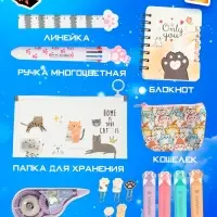 HAPPY VALLEY Набор сюрпризов "Замурчательный меганабор"