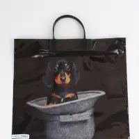 Пакет "Такса, полиэтиленовый, пластиковая ручка 37х35 см 90 мкм Пакет "Такса, полиэтиленовый, пластиковая ручка 37х35 см 90 мкм