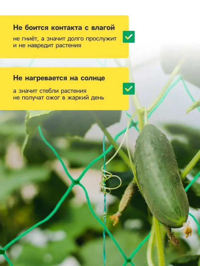 Сетка садовая для огурцов, шпалерная, 5&times;2 м, ячейка 15&times;15 см, Greengo