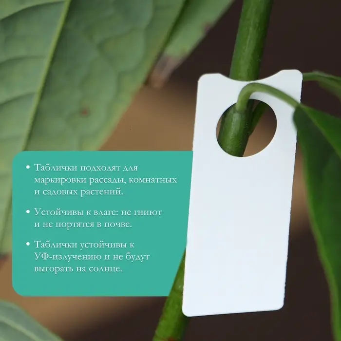 Бирки садовые, для маркировки растений, 5×2 см, набор 20 шт., пластик, МИКС, Greengo