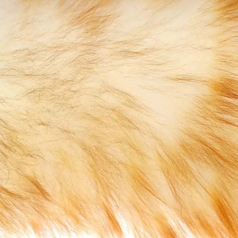 VETTA Щётка-смётка для удаления пыли, пластик, шерсть, молочный бамбук