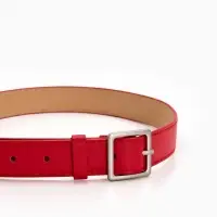 Ремень жен 05-01-02-01, Июнь2508, 3*0,3*110 см, без винта, пряж мат металл, 1 прокол, красн 109031 Ремень жен 05-01-02-01, Июнь2508, 3*0,3*110 см, без винта, пряж мат металл, 1 прокол, красн 109031