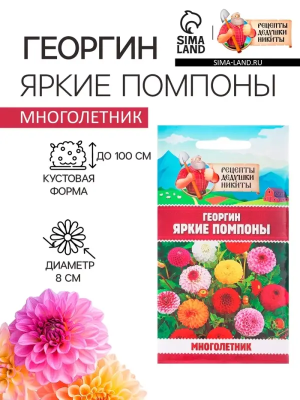 Семена цветов Георгин  Семена цветов Георгин "Яркие помпоны", 0,3 г