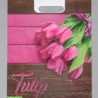 Пакет "Свидание , полиэтиленовый с вырубной ручкой 30х40 см, 60 мкм