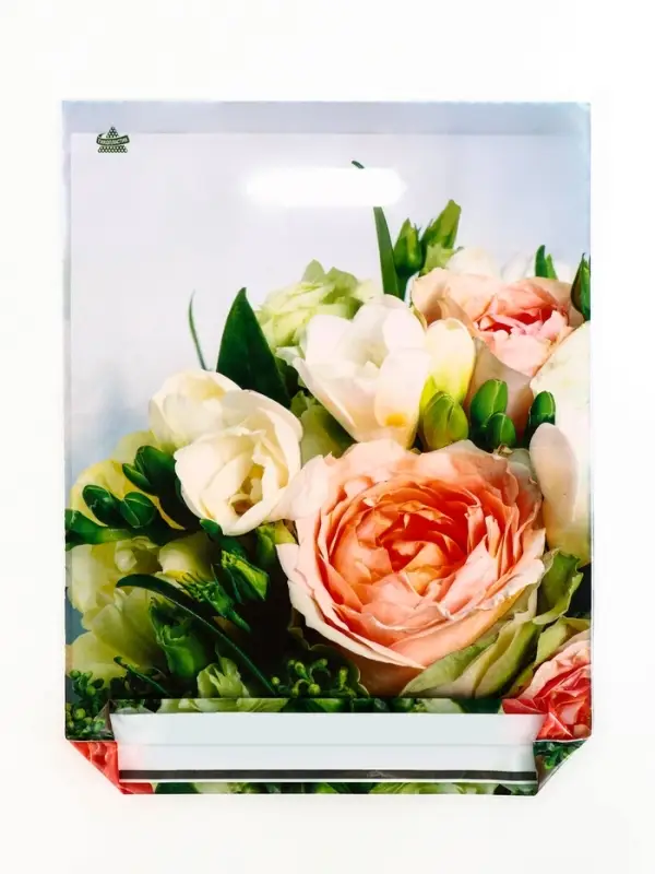 Пакет "Романтическое настроение", полиэтиленовый с вырубной ручкой, л 40х31 см, 60 мкм