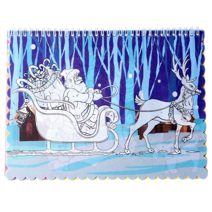 Книжка-раскраска многоразовая «Новый год» фломастеры 12 цв., 3D очки, бутылочка для воды Книжка-раскраска многоразовая «Новый год» фломастеры 12 цв., 3D очки, бутылочка для воды