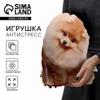 Игрушка мягконабивная &laquo;Собака шпиц&raquo;