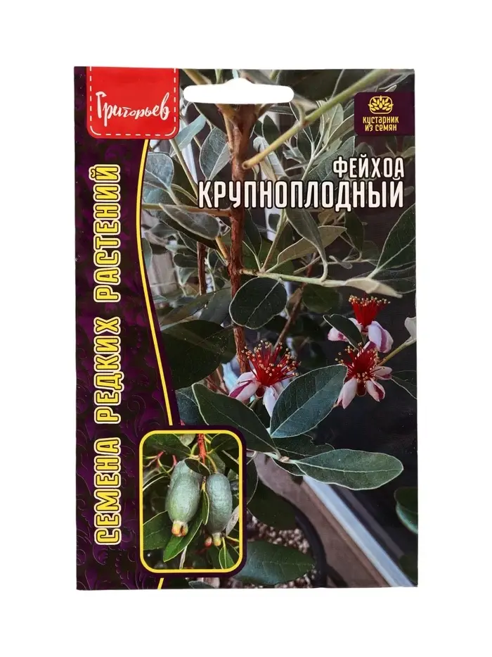 Семена цветов Фейхоа Крупноплодный 7 шт.  12.29 г.