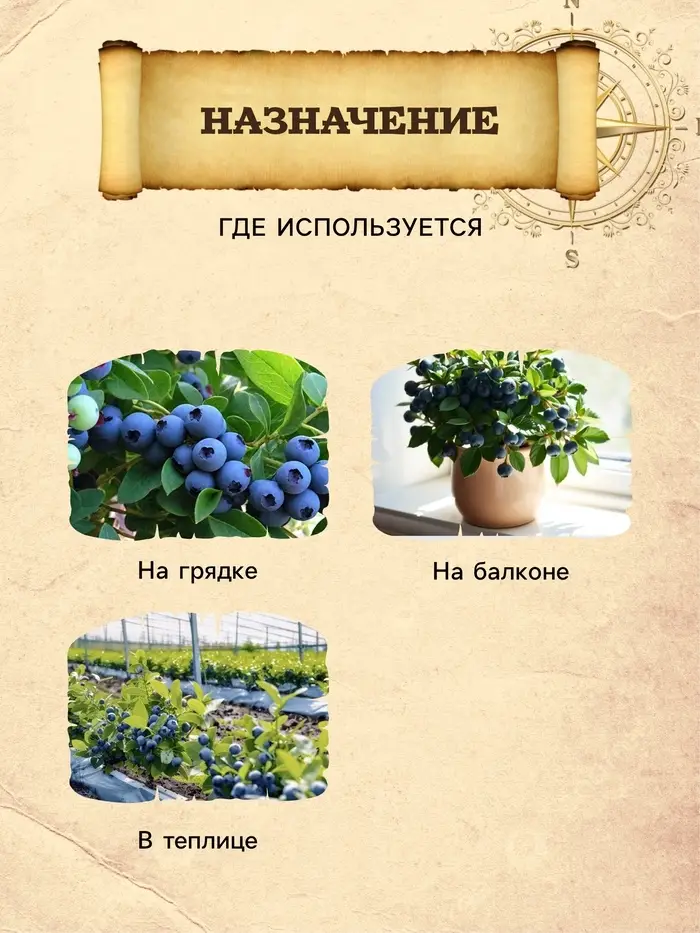 Грунт для Голубики PETER PEAT, линия &laquo;Хобби&raquo;, 20 л