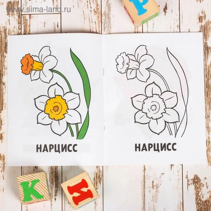 Раскраска &laquo;Цветы&raquo;, 16 стр.