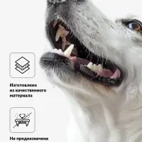 Игрушка для собак &laquo;Стейк с кровью&raquo;, 10.5 см, пищащая, винил, цвет МИКС