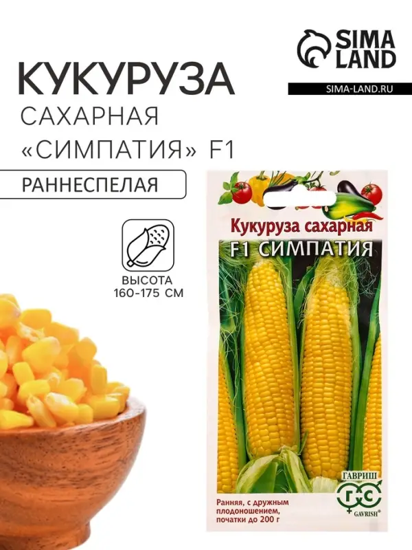 Семена Кукуруза сахарная &laquo;Симпатия&raquo;, F1, 5 г, &laquo;Гавриш&raquo;