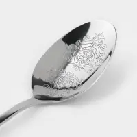 Набор столовых ложек Доляна &laquo;Эмили&raquo;, длина 20.5 см, 6 шт., нержавеющая сталь, серебристый