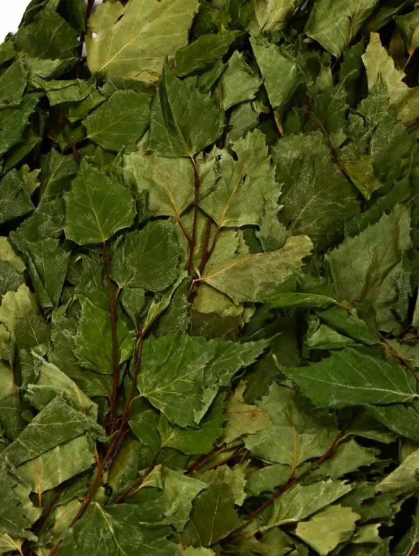 Веник для бани, берёзовый, в упаковке