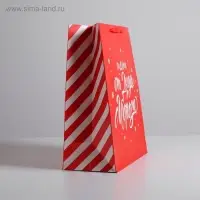 Пакет подарочный новогодний ламинированный &laquo;Подарок от Деда Мороза&raquo;, XL 40&times;49&times;19 см
