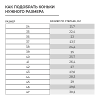 Коньки хоккейные Winter Star Advanced Way, р. 40