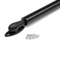 Газовый лифт ТУНДРА GG100BL, 100N, с доводчиком, цвет черный, 2 шт TMP