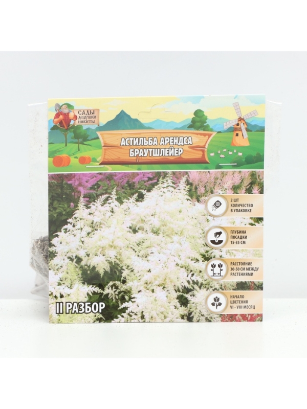 Астильба Арендса Brautschleierмноголетник, корневище в торфогрунте р-р II, 2 шт.