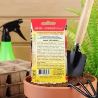 Семена Тыква "Россиянка", 2 г Семена Тыква "Россиянка", 2 г