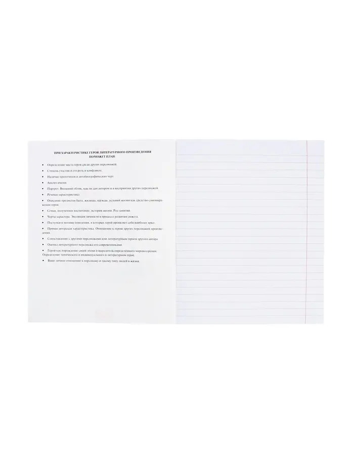 Тетрадь 48 листов в линию &laquo;Приключения кота Пирожка&raquo; ЛИТЕРАТУРА, обложка мелованная бумага, с интерактивным справочником, блок офсет