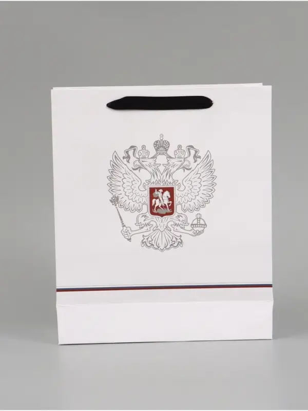 Пакет подарочный &laquo;Россия&raquo;, 25.5&times;30&times;9 см