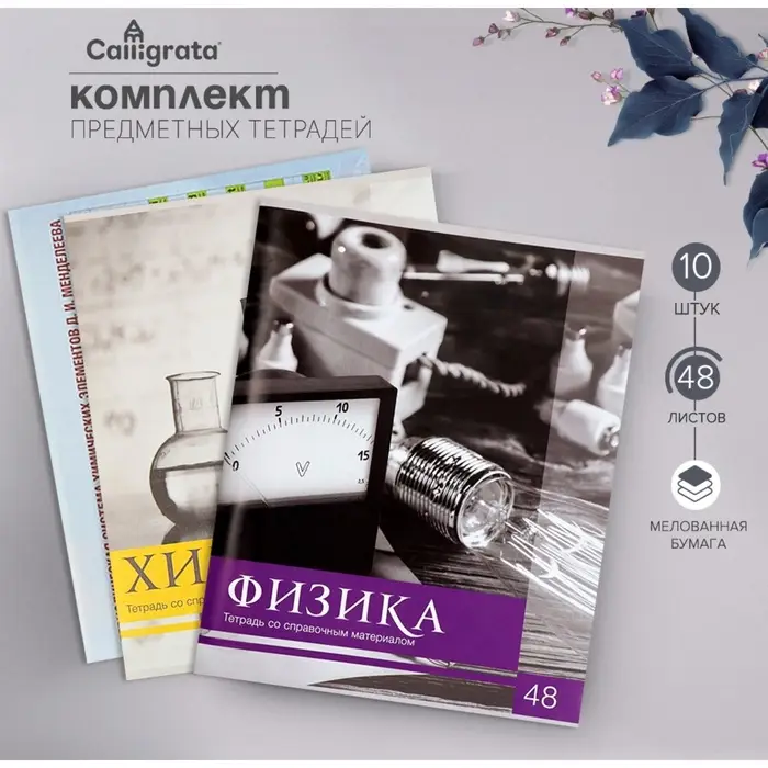 Набор предметных тетрадей 48 листов, Calligrata &laquo;Чёрное-белое&raquo;, 10 предметов, серые листы
