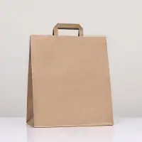 Пакет крафт без печати 31×19×37 см, плоская ручка
