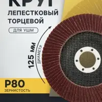 Круг лепестковый торцевой ТУНДРА, 125&times;22 мм, Р80