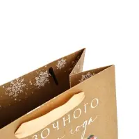 Пакеты подарочные &laquo;Новогодние чудеса&raquo;, набор 5 шт. 18&times;23&times;10 см и 1 шт. 26&times;30&times;9 см