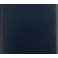 Папка адресная без тиснения бумвинил с поролоном синяя