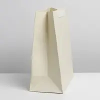 Пакет подарочный ламинированный, упаковка, &laquo;Молочный&raquo;, ML 23&times;27&times;11.5 см
