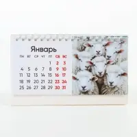 Календарь 2027, настольный домик фотореал 16&times;10.5 см