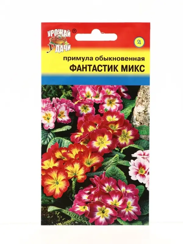 Семена цветов Примула Фантастик F1 Микс 3 шт.